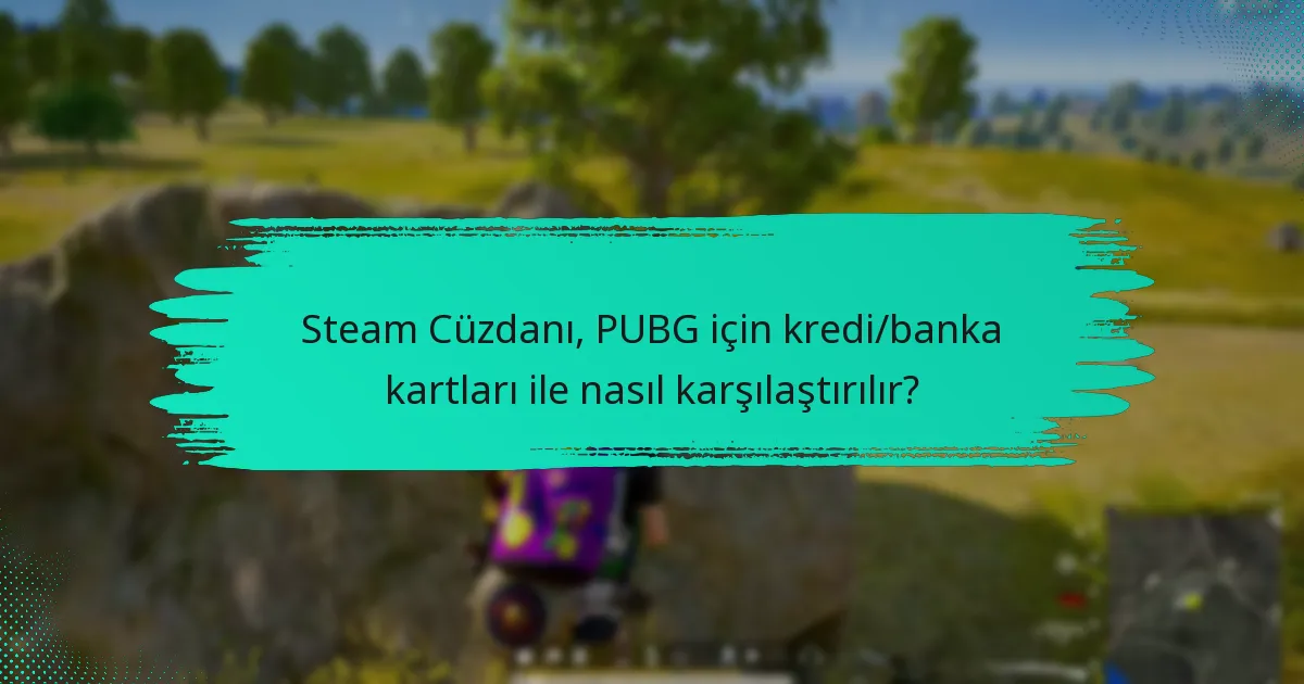 Steam Cüzdanı’nın PUBG için dezavantajları nelerdir?