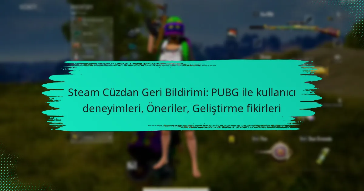 Steam Cüzdan Geri Bildirimi: PUBG ile kullanıcı deneyimleri, Öneriler, Geliştirme fikirleri