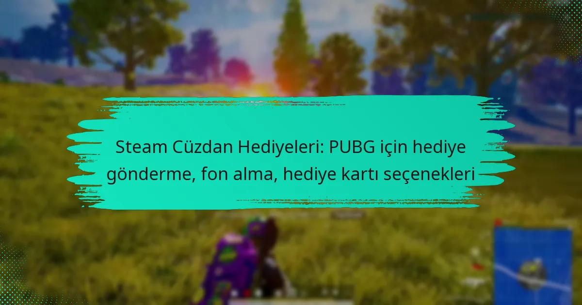 Steam Cüzdan Hediyeleri: PUBG için hediye gönderme, fon alma, hediye kartı seçenekleri