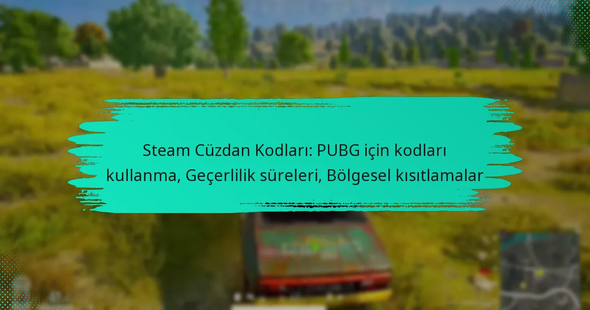 Steam Cüzdan Kodları: PUBG için kodları kullanma, Geçerlilik süreleri, Bölgesel kısıtlamalar