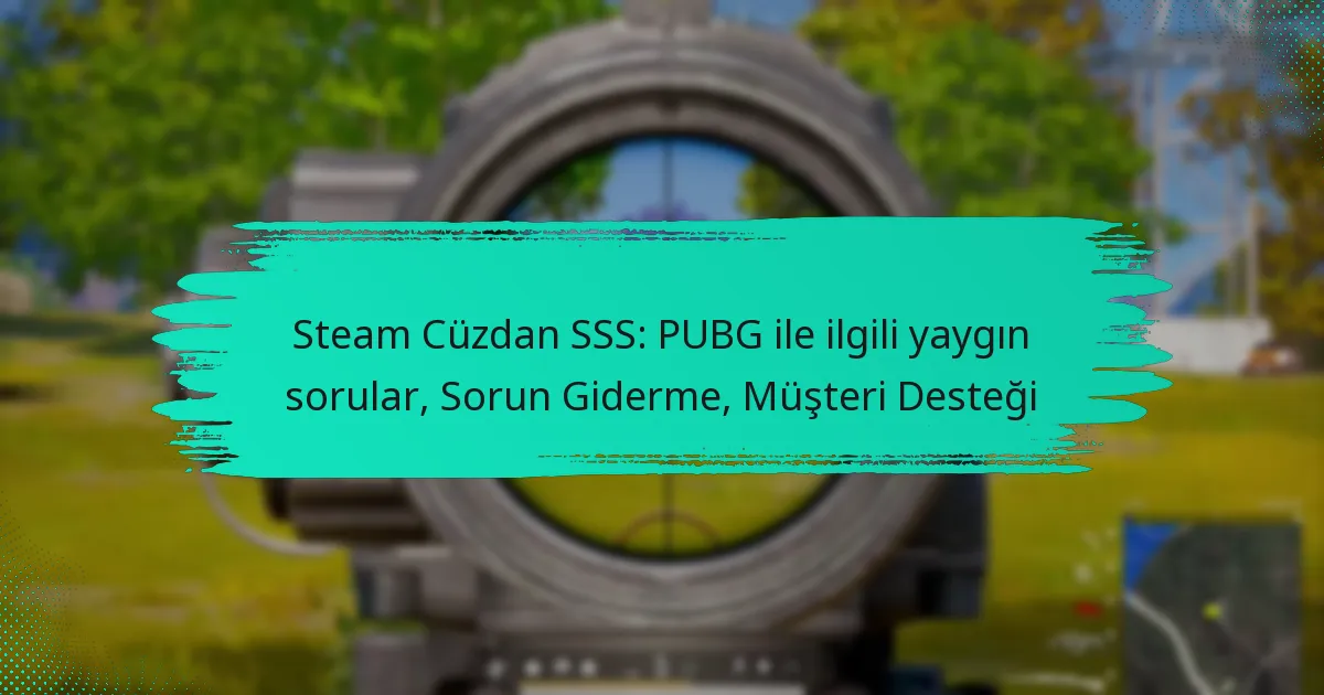 Steam Cüzdan SSS: PUBG ile ilgili yaygın sorular, Sorun Giderme, Müşteri Desteği