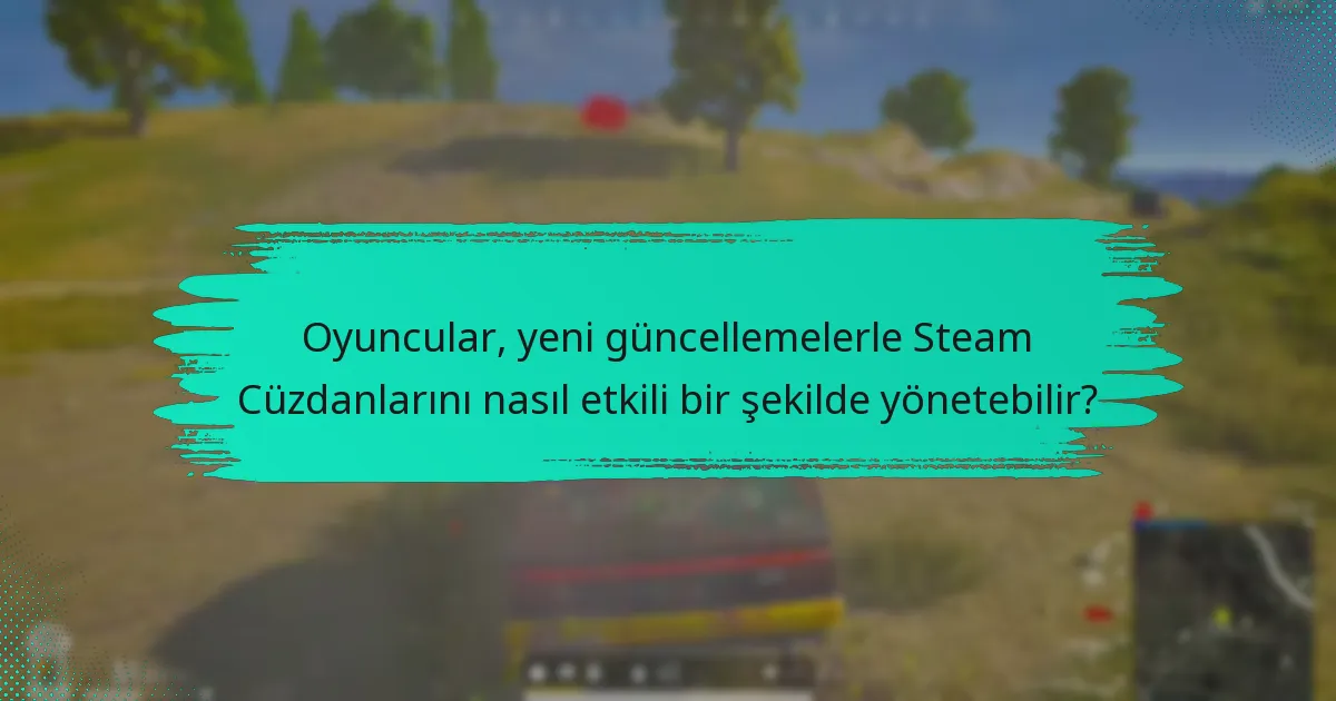 Steam Cüzdan ve PUBG’yi etkileyen politika değişiklikleri nelerdir?