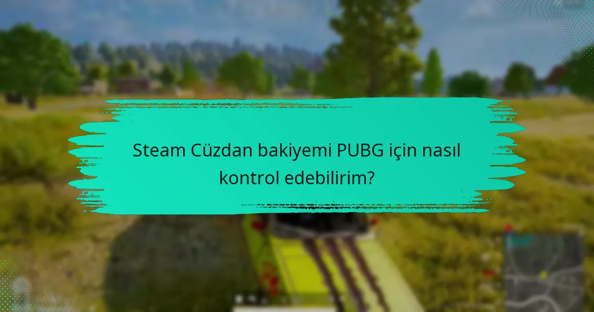 Steam Cüzdanıma nasıl para eklerim?