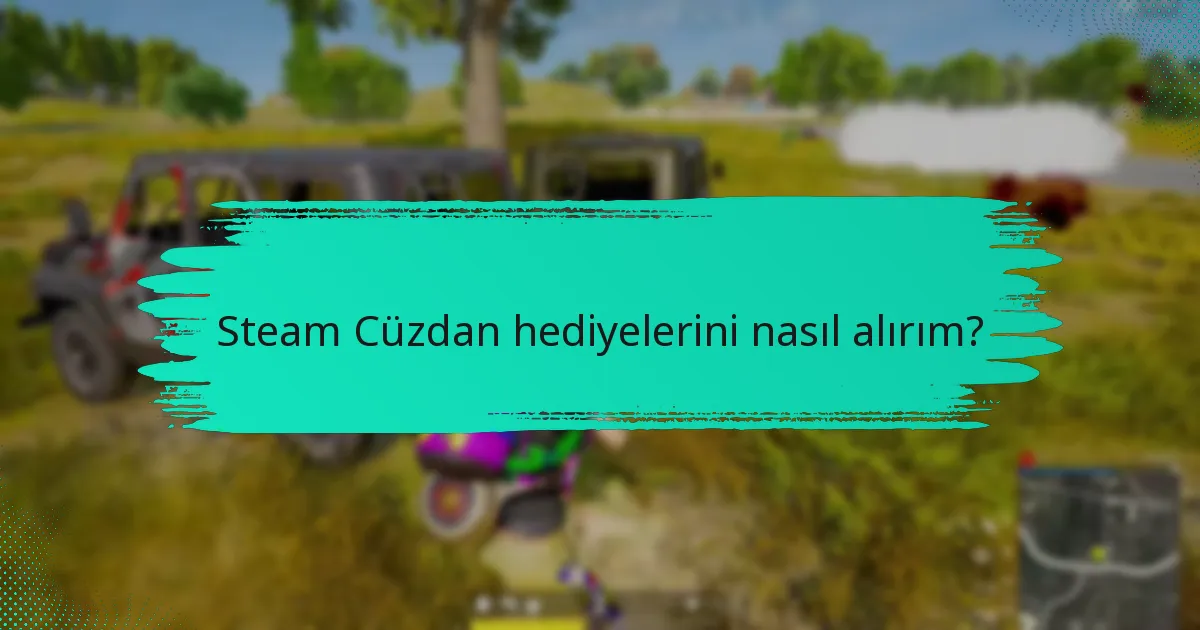 Steam Cüzdan için farklı hediye kartı seçenekleri nelerdir?
