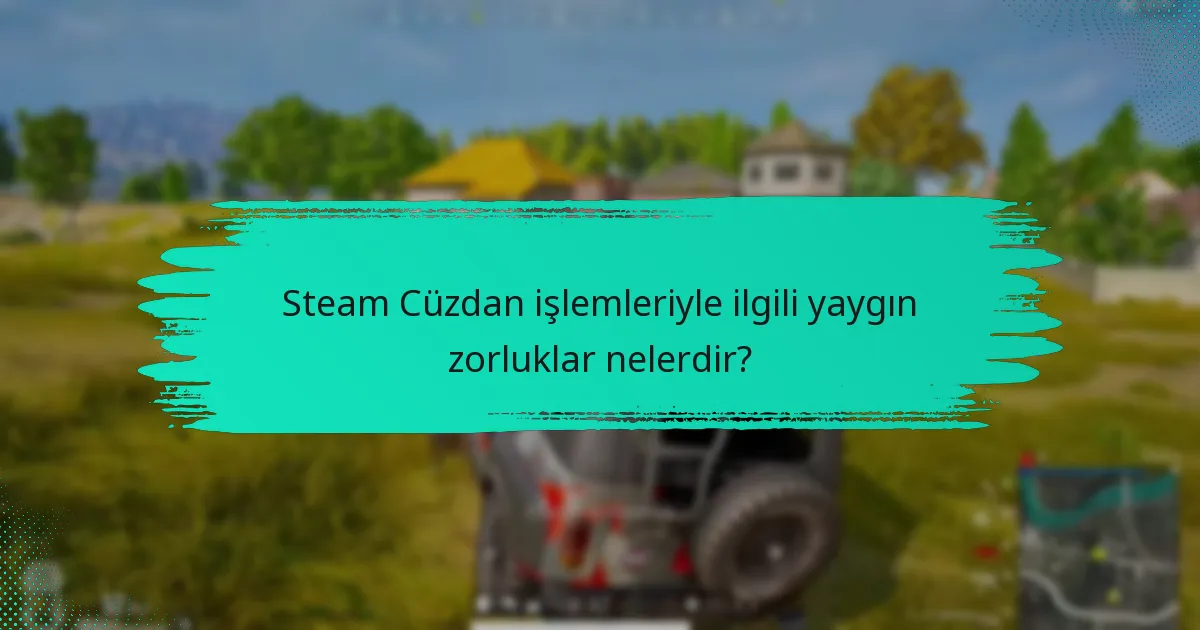 Steam Cüzdan işlemleriyle ilgili yaygın zorluklar nelerdir?
