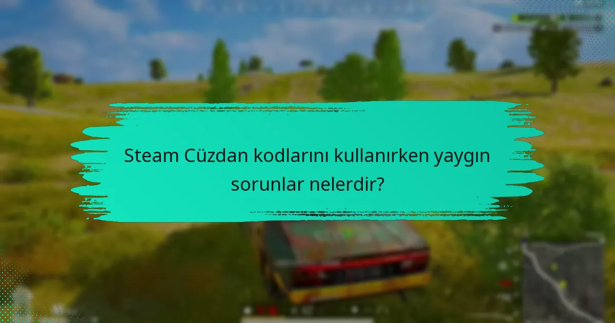 PUBG için Steam Cüzdan kodlarını nereden satın alabilirim?