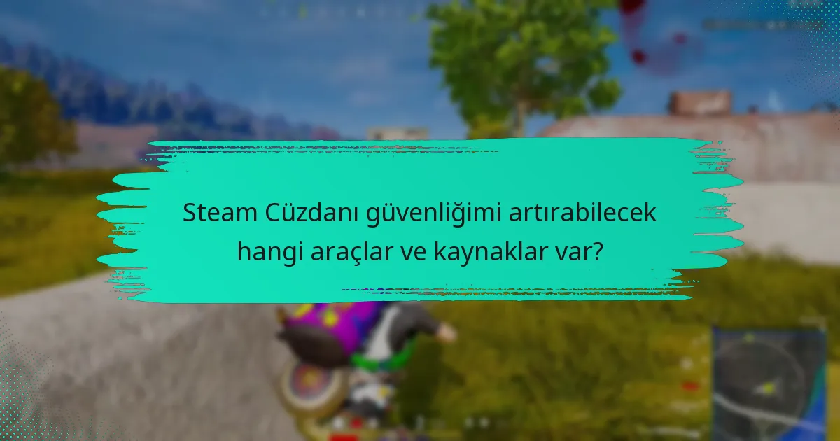 Steam Cüzdanı hesabımı PUBG için nasıl güvence altına alabilirim?