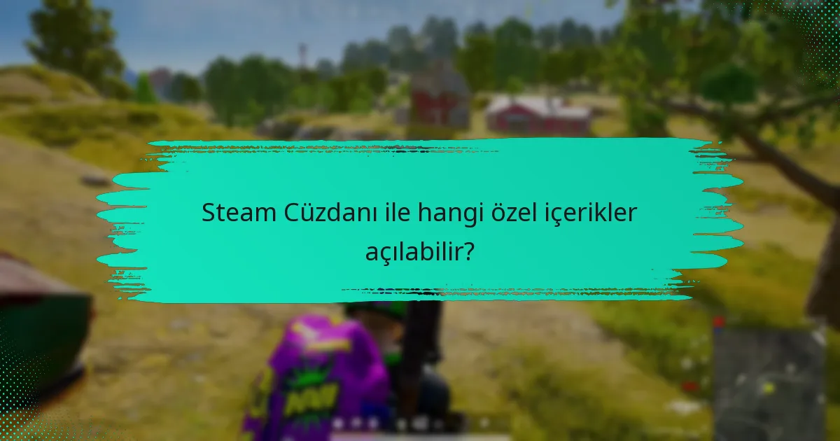 Steam Cüzdanı ile hangi özel içerikler açılabilir?