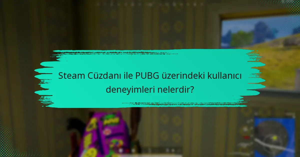 Kullanıcılar Steam Cüzdanı ile PUBG’de hangi yaygın sorunlarla karşılaşıyor?