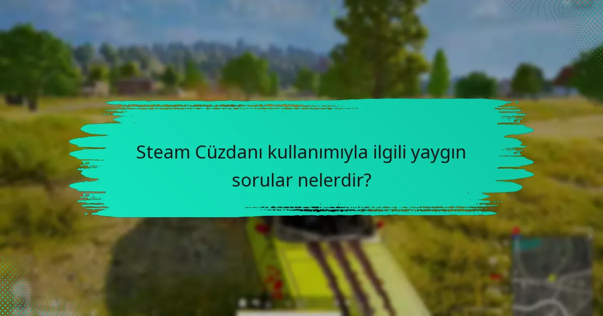 Steam Cüzdanı kullanımıyla ilgili PUBG politikaları nelerdir?