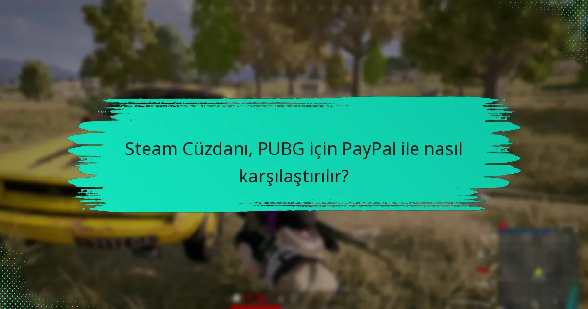 Steam Cüzdanı, PUBG için kredi/banka kartları ile nasıl karşılaştırılır?