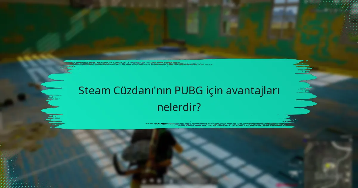 Steam Cüzdanı, PUBG için PayPal ile nasıl karşılaştırılır?
